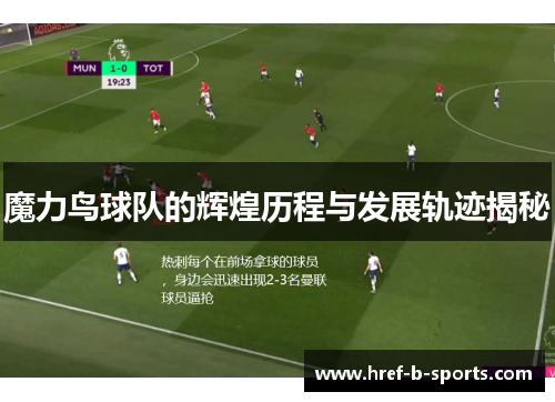 魔力鸟球队的辉煌历程与发展轨迹揭秘